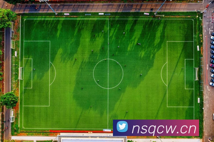 巅峰国际app注册入口官网平台生态图